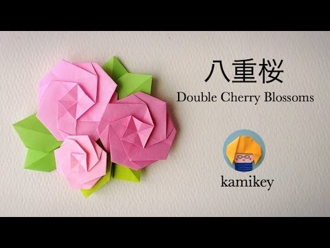 折り紙 八重桜 Origami Double Cherry Blossoms 櫻花雪 カミキィ Kamikey Youtube