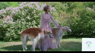 Dragon ডরগন ২০২২