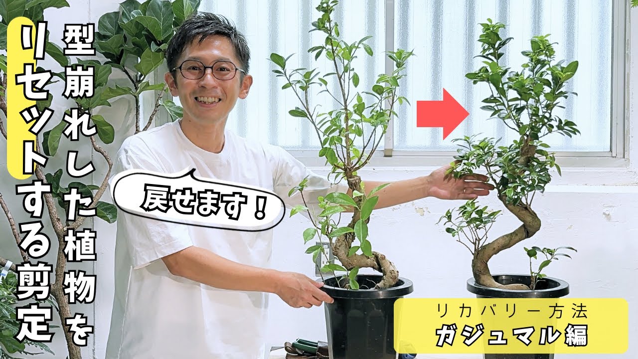 YTガジュマル Must-see] Something's wrong!? We'll teach you the professional