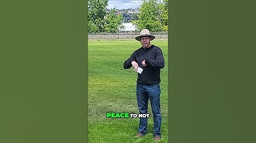 Alan Watts: Finding Peace Within, Not Outside