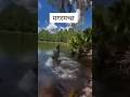 एक आदमी को मगरमच्छ ने पकड़ा #vairlvideo #vairl #treding #sorts #sureshofficial2723