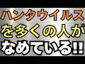 ハンタウイルス問題を多くの人が舐めている!? グレートフィルター仮説 Iran War Day 76 自然農始めたDay 48