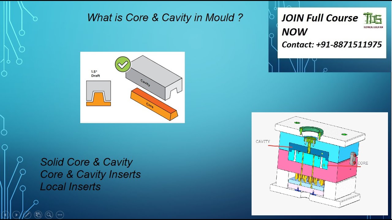 What Is Nasal Cavity In Hindi What Is Nasal Cavity In Hindi