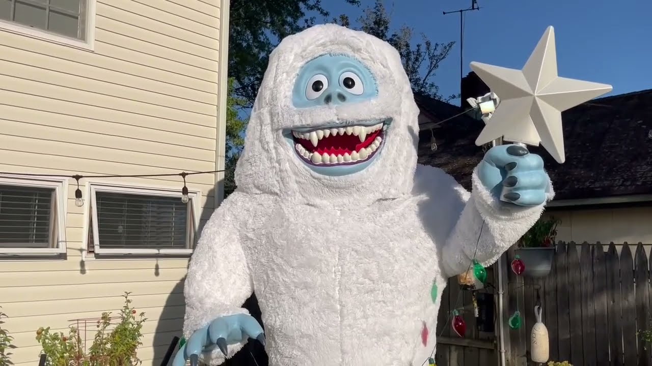 Bumble unboxing/setup/demo