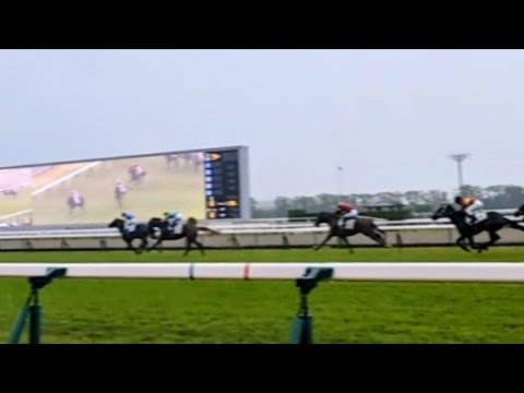 新馬戦2025】ロブチェン新馬戦 重馬場の京都で堂々デビュー！ - YouTube