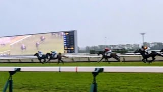 新馬戦2025】ロブチェン新馬戦 重馬場の京都で堂々デビュー！ - YouTube