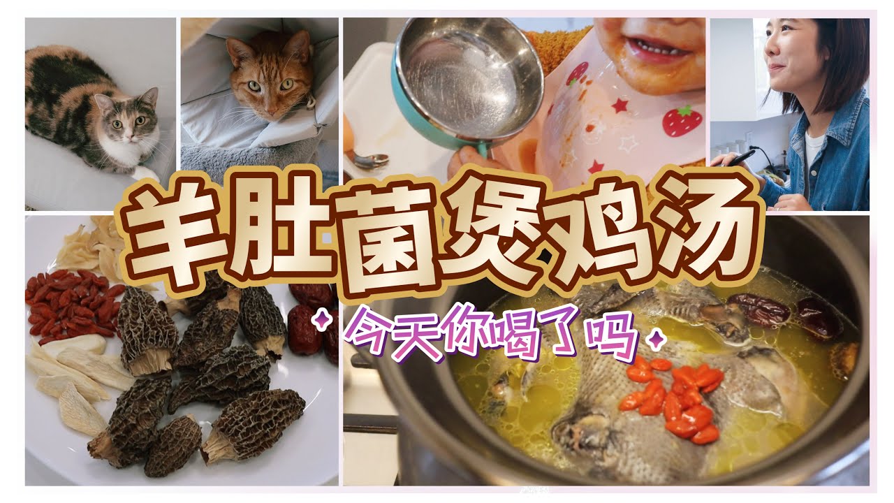 小孩喝光光的羊肚菌雞湯｜广东家庭煲湯的日常