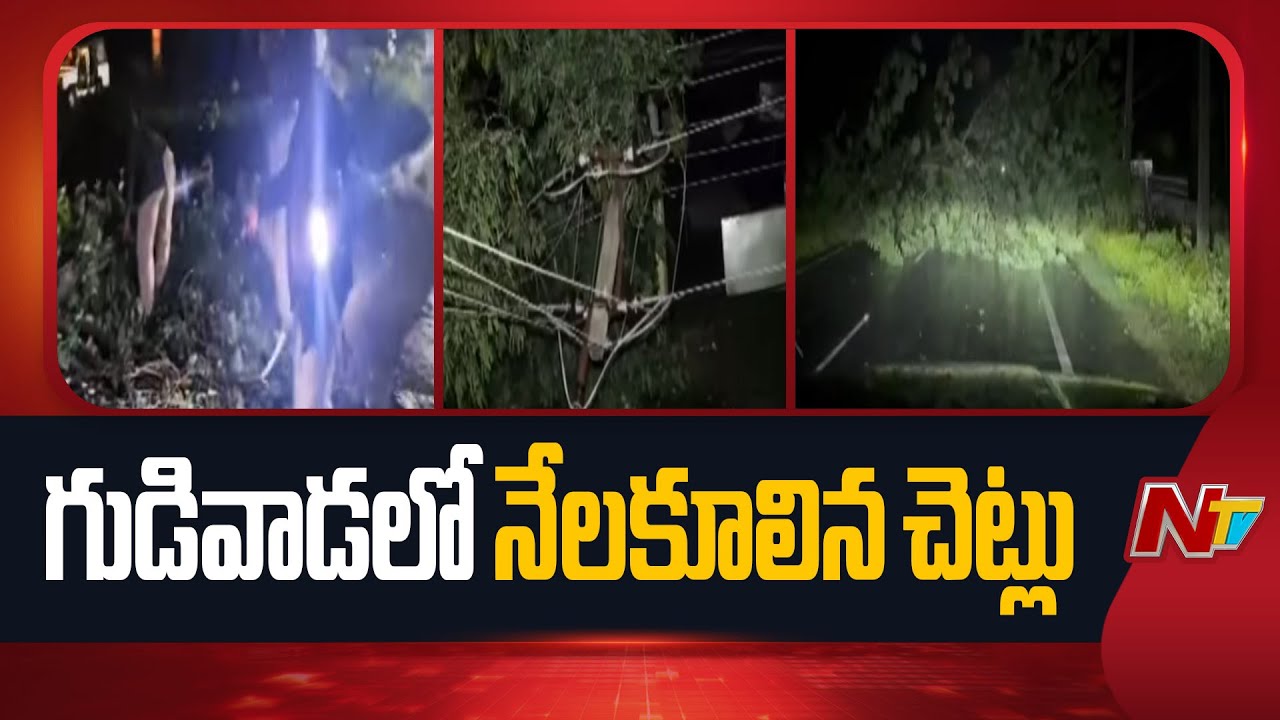 Cyclone Montha : Several Trees Uprooted On Main Roads In Gudivada | NTV Telugu