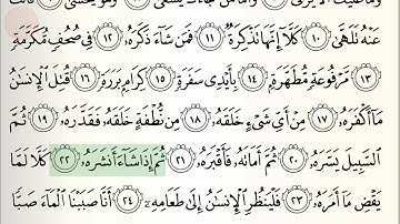 Abdul Rahman Al-Sudais - Surat Abasa (سورة عبس)