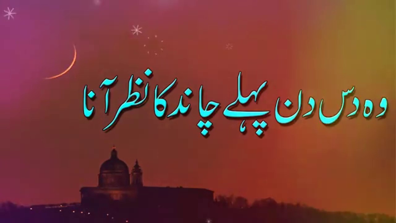 Eid Mubarak New Status 2019 | Bakra Eid Mubarak | Eid Ul Adha WhatsApp Status 2019 | Skp Daily Vlogs