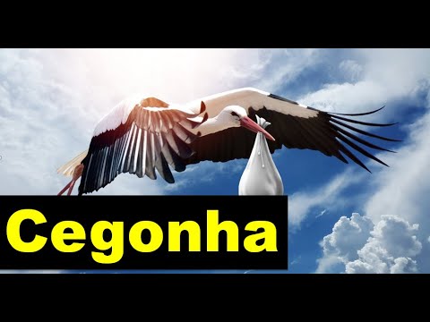 Vídeo: Por Que Sonhar Com Uma Cegonha Com Um Bebê