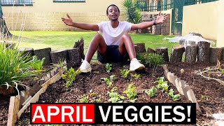 12 Crops You’d be Silly Not to Plant in April