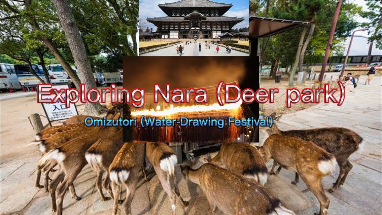 Exploring Nara deer 🦌 park and Todaiji Temple Omizutori (WaterDrawing