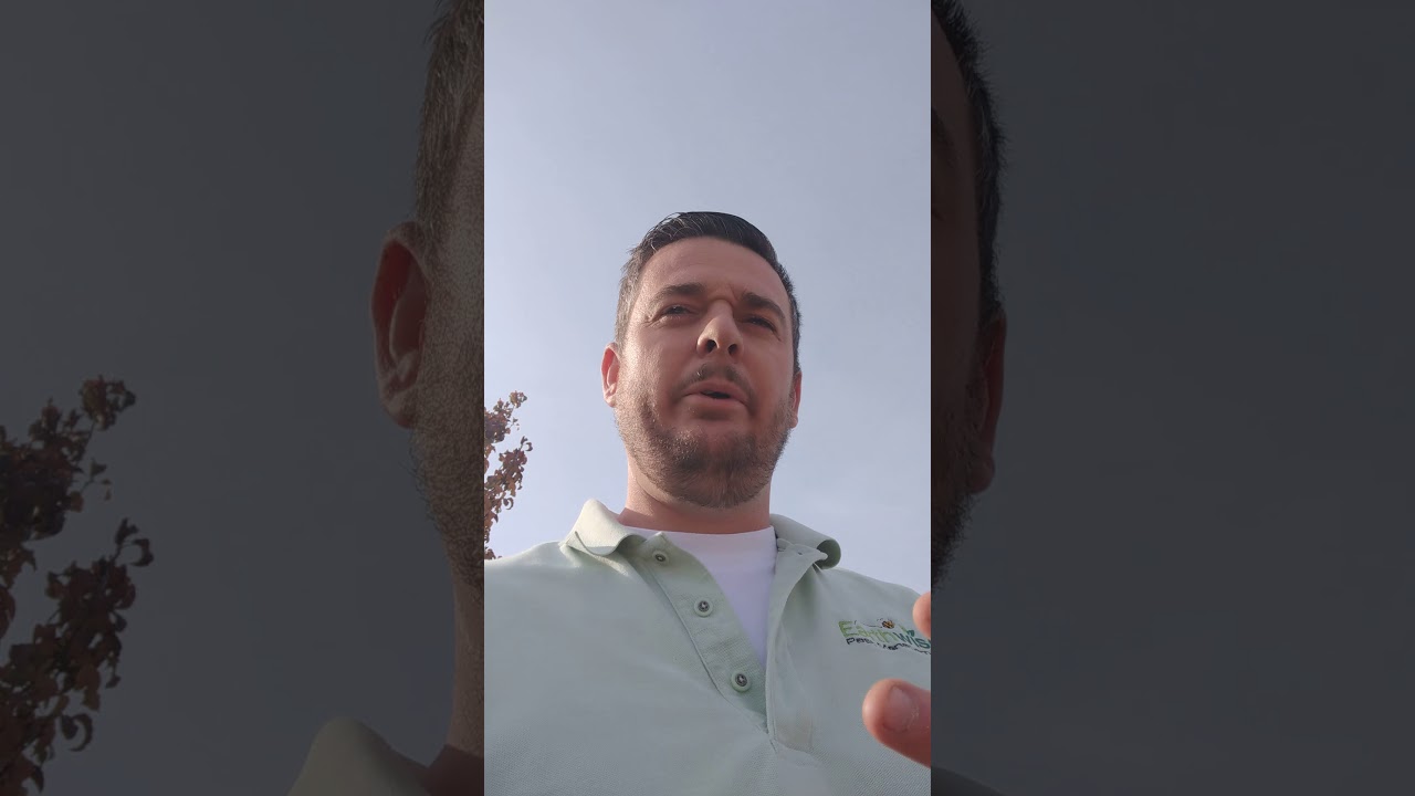 Mice Inspection: Advanced Rodent Control