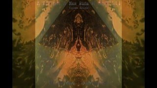 A Trip Into A New State Of Mind Vol1  Sdanler