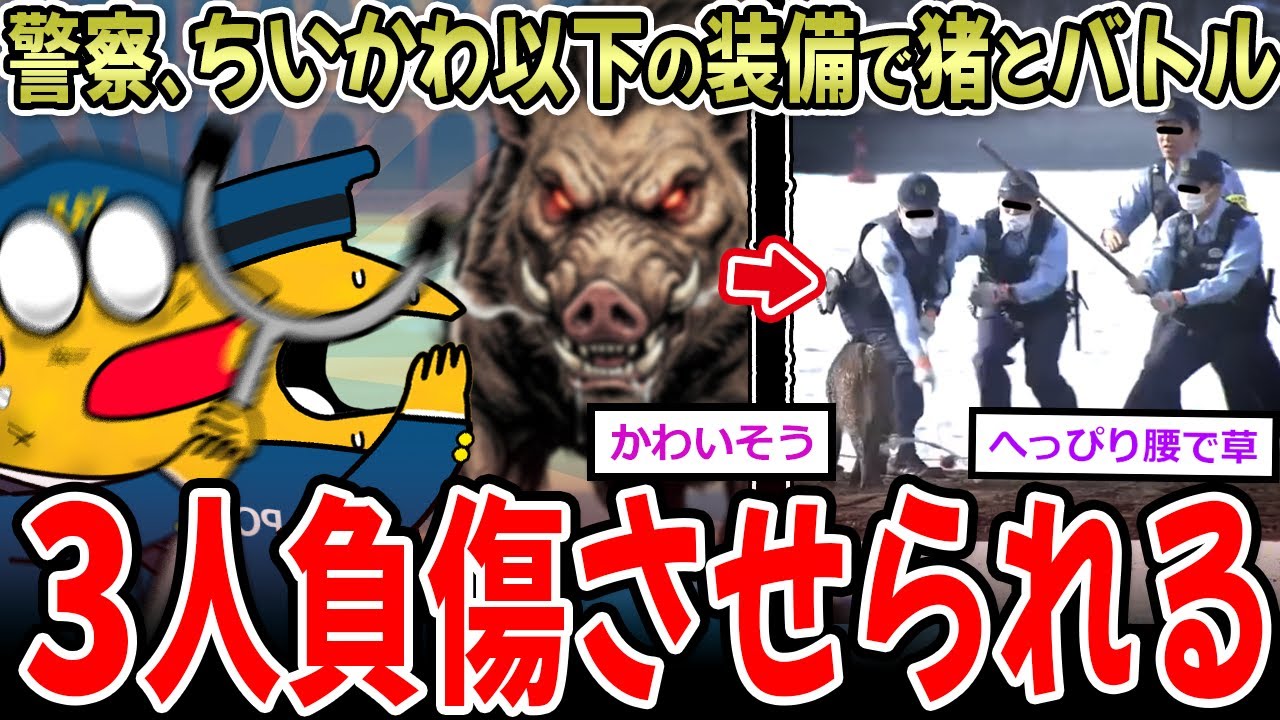 【わァ...】警察、ちいかわ装備でイノシシと戦わされた結果…→3人負傷【2ch面白いスレ】