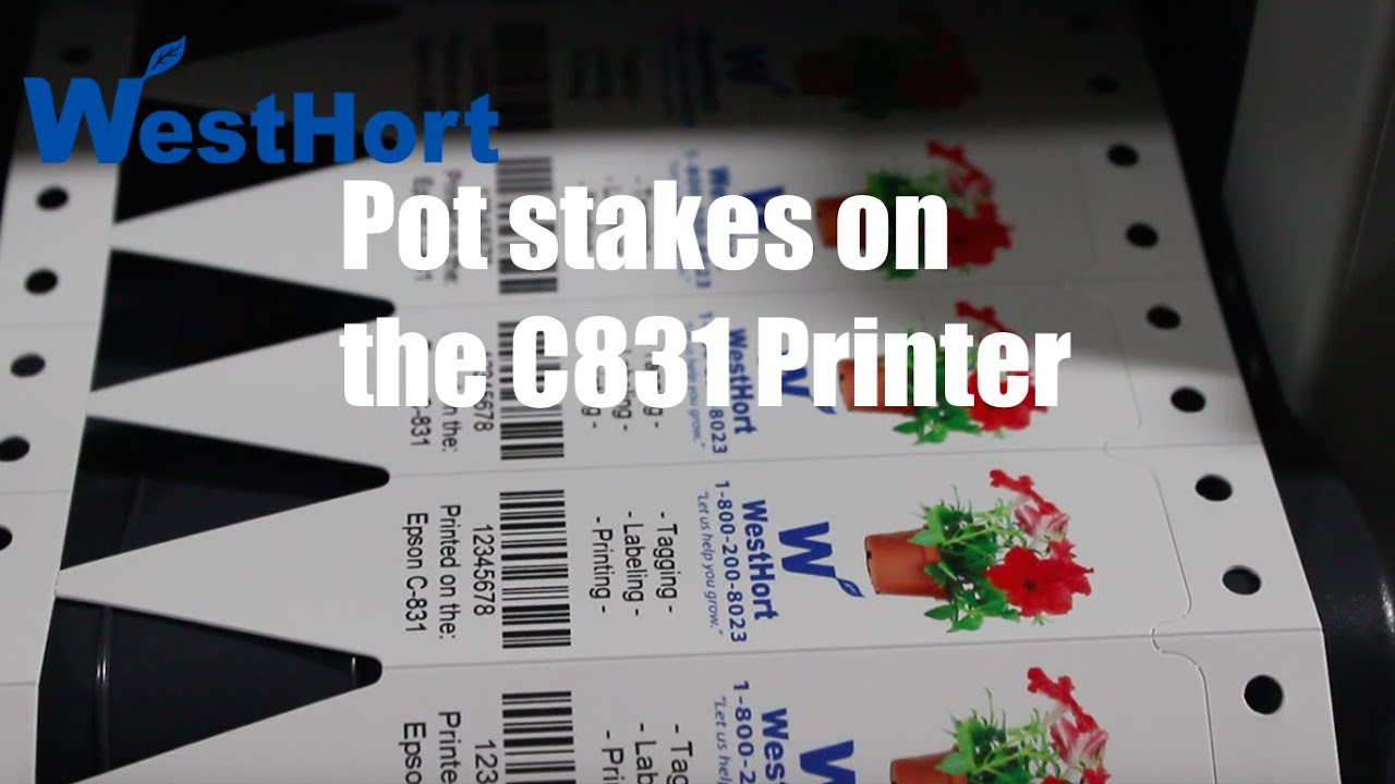 epson-c831-printing-pot-stakes-youtube