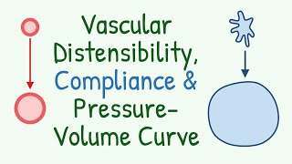 Vascular Compliance (Distensibility) & Its Imporatance in Arterial Pulsation & Venous Reservoir