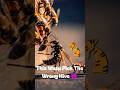 Wasp Attacks Beehive 🐝⚔️ Epic Bee vs Wasp Battle | Nature Fight | Bee Swarm Defense #viral #shorts