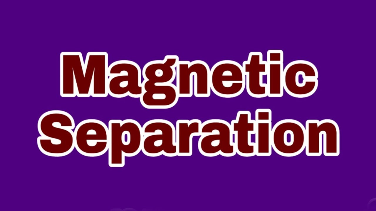 Magnetic Separation #shorts