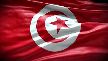 Flag of Tunisia | free flag animation | Visual Effects channel