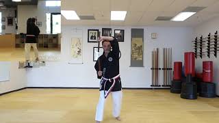 Matayoshi No Nunchaku kata full speed