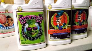 Chem 91 chemdawg grow Advanced Nutrients line up