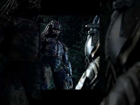 The Predator | Super Predator Destroys the Original in Forest Fight