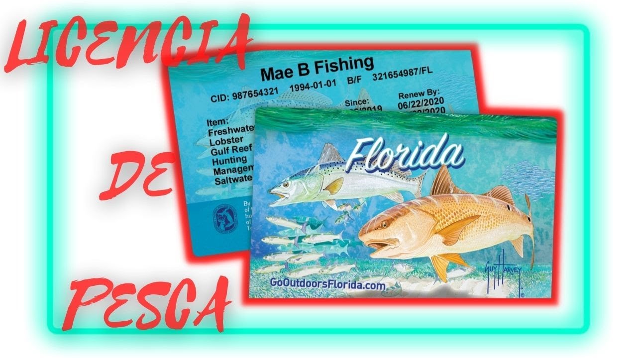 espina once Circo 👌✓▷COMO OBTENER LICENCIA O PERMISO DE PESCA EN LA FLORIDA USA, Y  REGULACIONES - YouTube