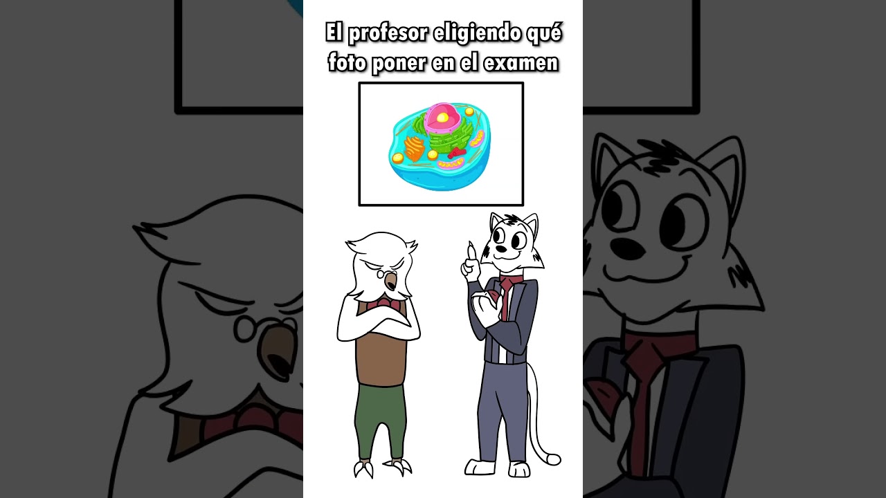 Las fotos de los exámenes 😭