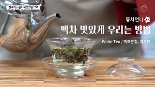 백차(白茶) 우리는 방법 feat.백호은침,백모단 / How to brew White Tea - Baihao Yinzhen, Bai Mudan #홍차언니 #한국티소믈리에연구원TV