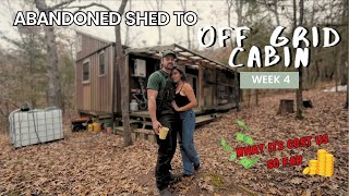 Woodys Off Grid Cabin WEEK 4, we have power & water, here's what it really cost us to get it