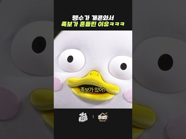 펭수가 개콘 와서 족보가 흔들린 이유ㅋㅋㅋ  | 개그콘서트 Gagconcert | KBS 261004 방송