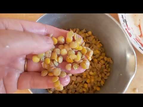 شوربة العدس فيديو بدون مونتاج 