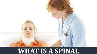 What Is A Spinal Cord Injury