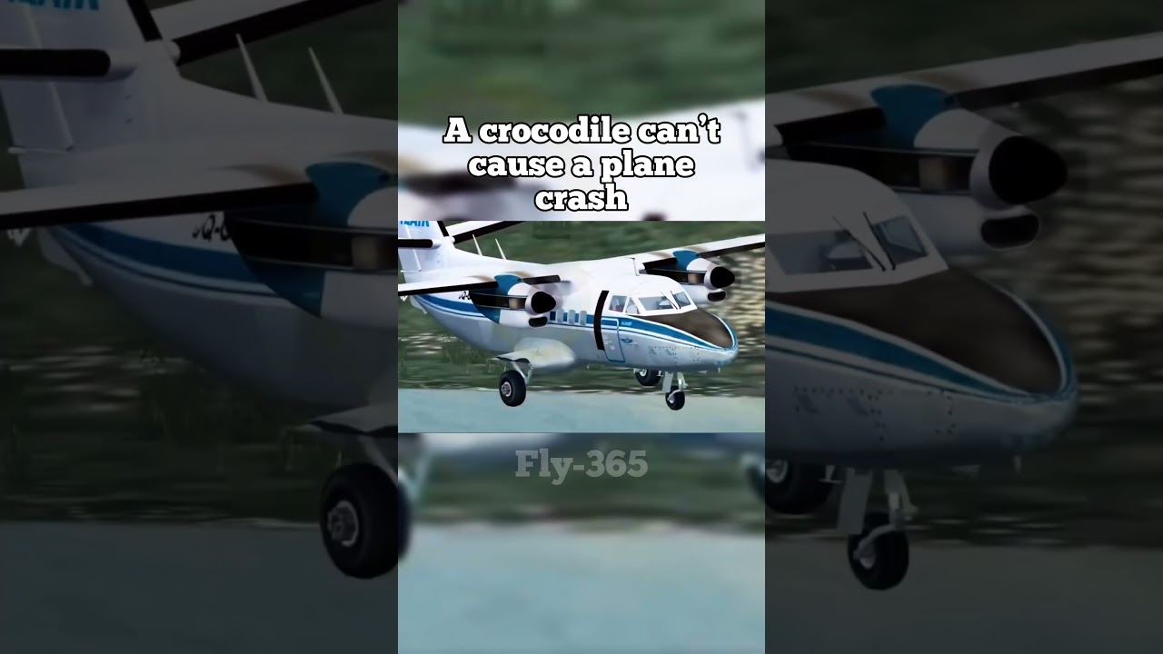 A crocodile can’t cause a plane crash right? 