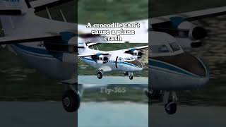 Celebrity A crocodile can’t cause a plane crash right? #aviation #avgeek #planes Profile