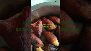 দুর্দান্ত এই ভাজা পিঠে বানিয়ে দেখো। Wonderful fried pitha recipe. screenshot 5