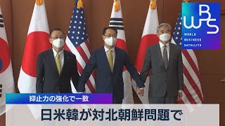 日米韓　対北朝鮮問題　抑止力強化で一致【WBS】（2022年6月3日）