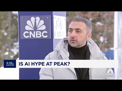 We've hit 'peak hype' of the AI revolution, says DeepMind co-founder Mustafa Suleyman