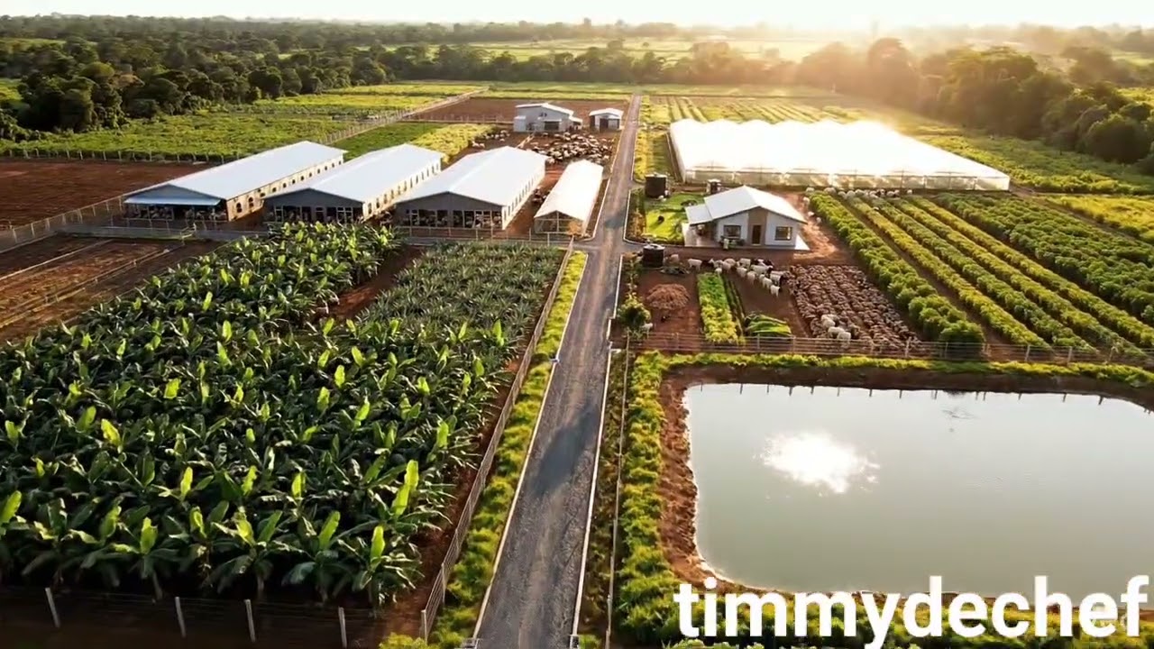 Integrated farming system 