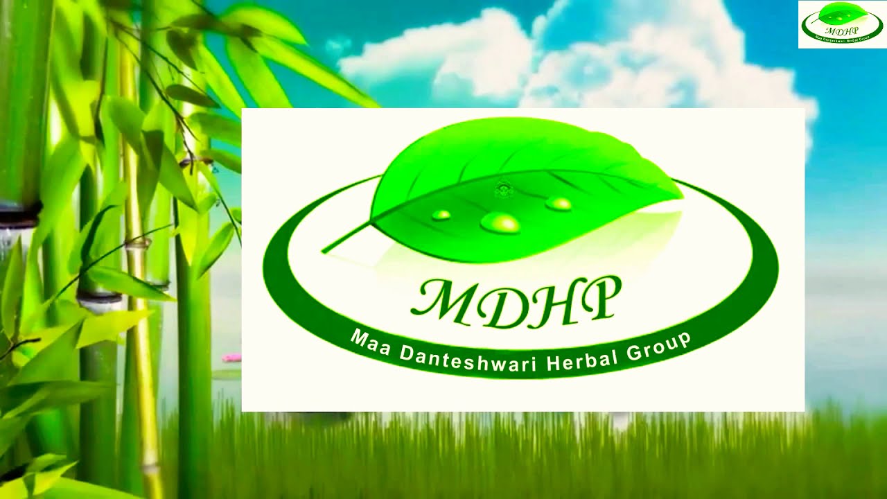 Black pepper farming by Dr. Rajaram Tripathi Maa Danteshwari Herbal