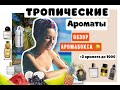 ТРОПИЧЕСКИЕ АРОМАТЫ/АРОМАТЫ С ФРУКТАМИ/БЮДЖЕТНЫЕ АРОМАТЫ ДО 1000