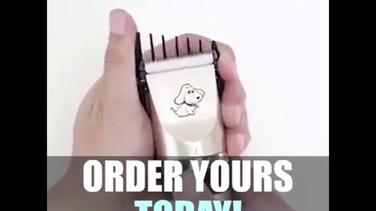 Pet Hair Clipper (Kit Included), Rechargeable Cordless Cat And Dog