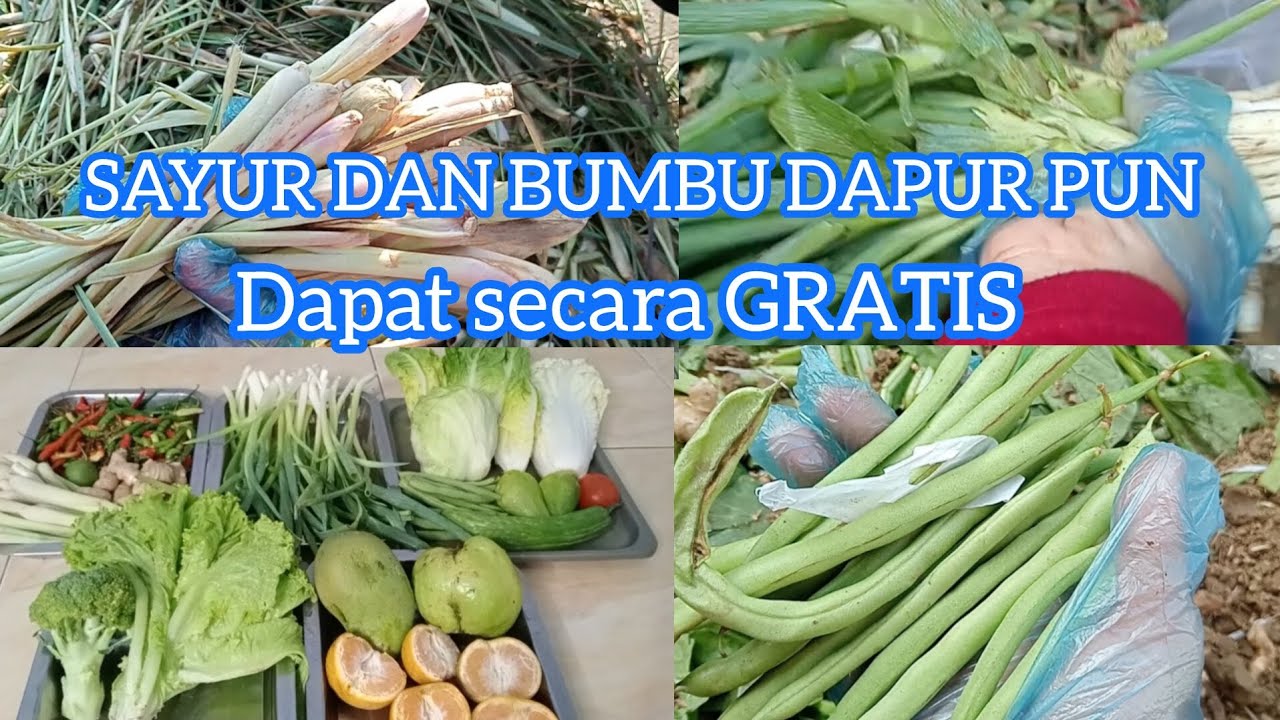 Mulung Lagi, Sayur dan Bumbu Dapur pun dapat secara GRATIS 😊☺️