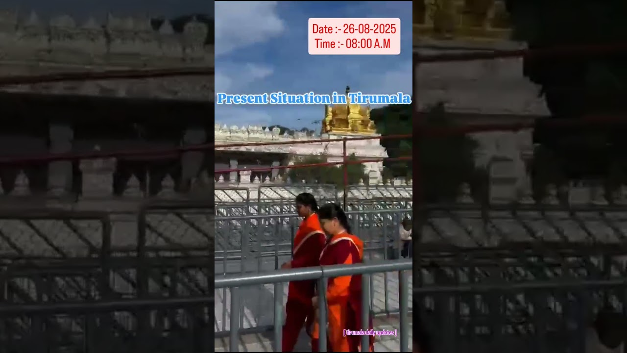 Present Situation in Tirumala || No Rush Tirumala || Tirumala Daily Updates || 