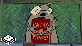 Camp Kidney Year Book | Camp Lazlo | Boomerang Official