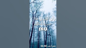 الشيخ فهد بن سالم الكندري | تلاوة خاشعة