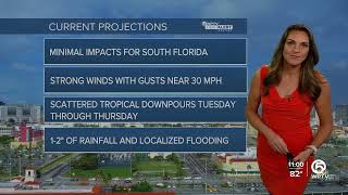 Frances Peyton 11/05/2024 (11AM) WPTV NBC5