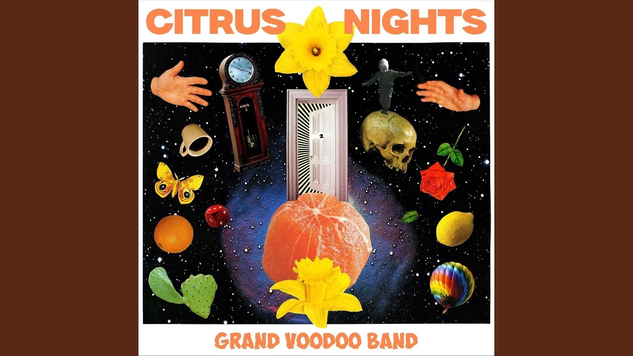 Citrus Nights